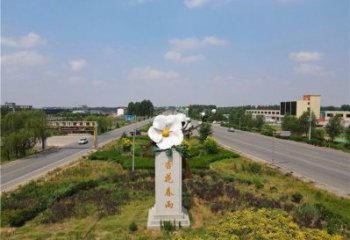 杏花雕塑常用，景观概念，不锈钢杏花雕塑厂家